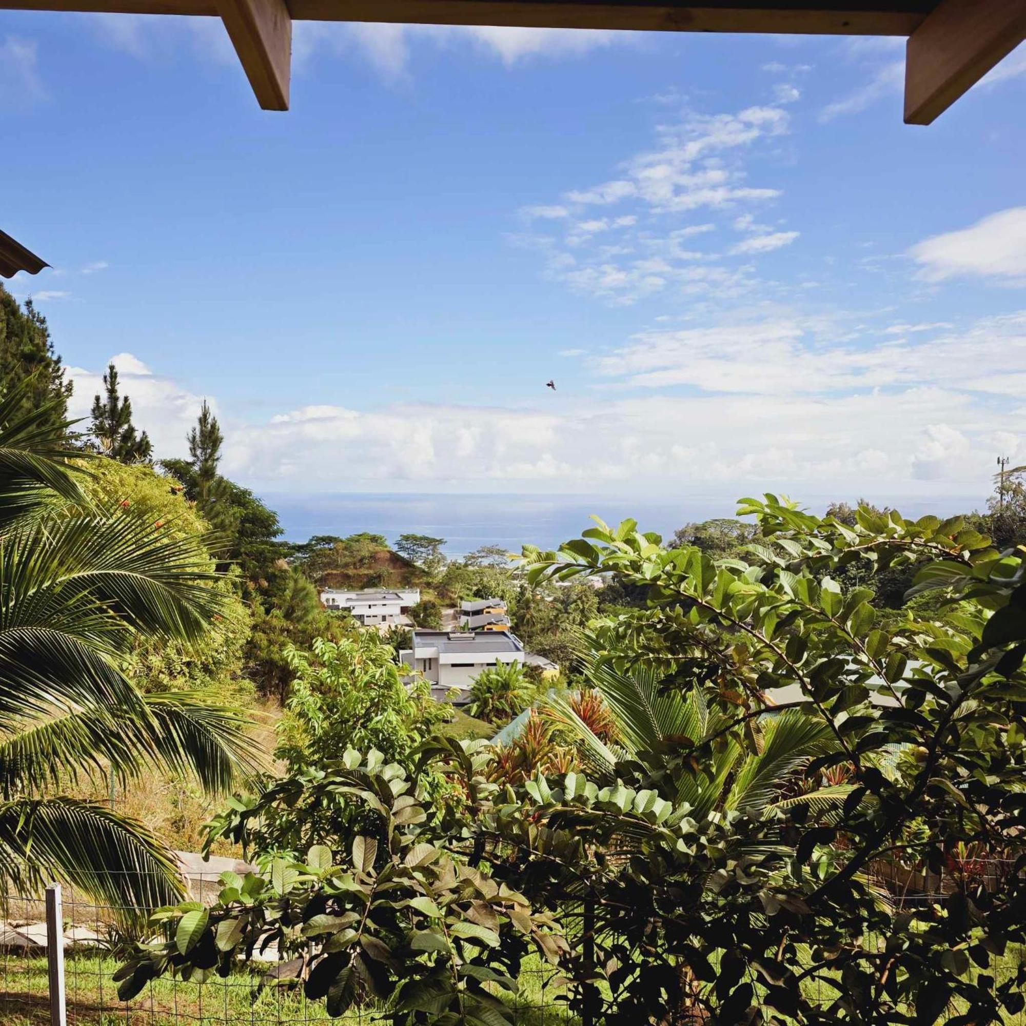 Fare Toahana, Accommodation With A Ocean View 帕皮提 外观 照片