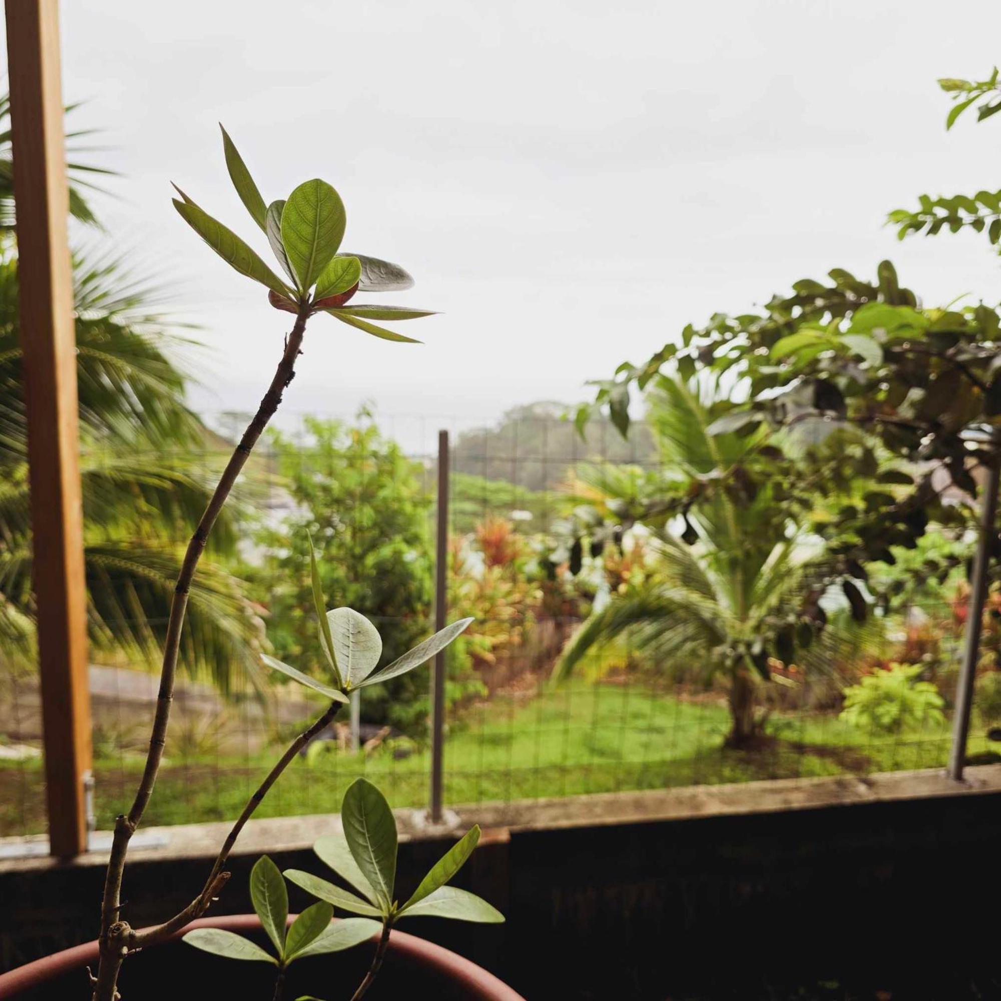 Fare Toahana, Accommodation With A Ocean View 帕皮提 外观 照片